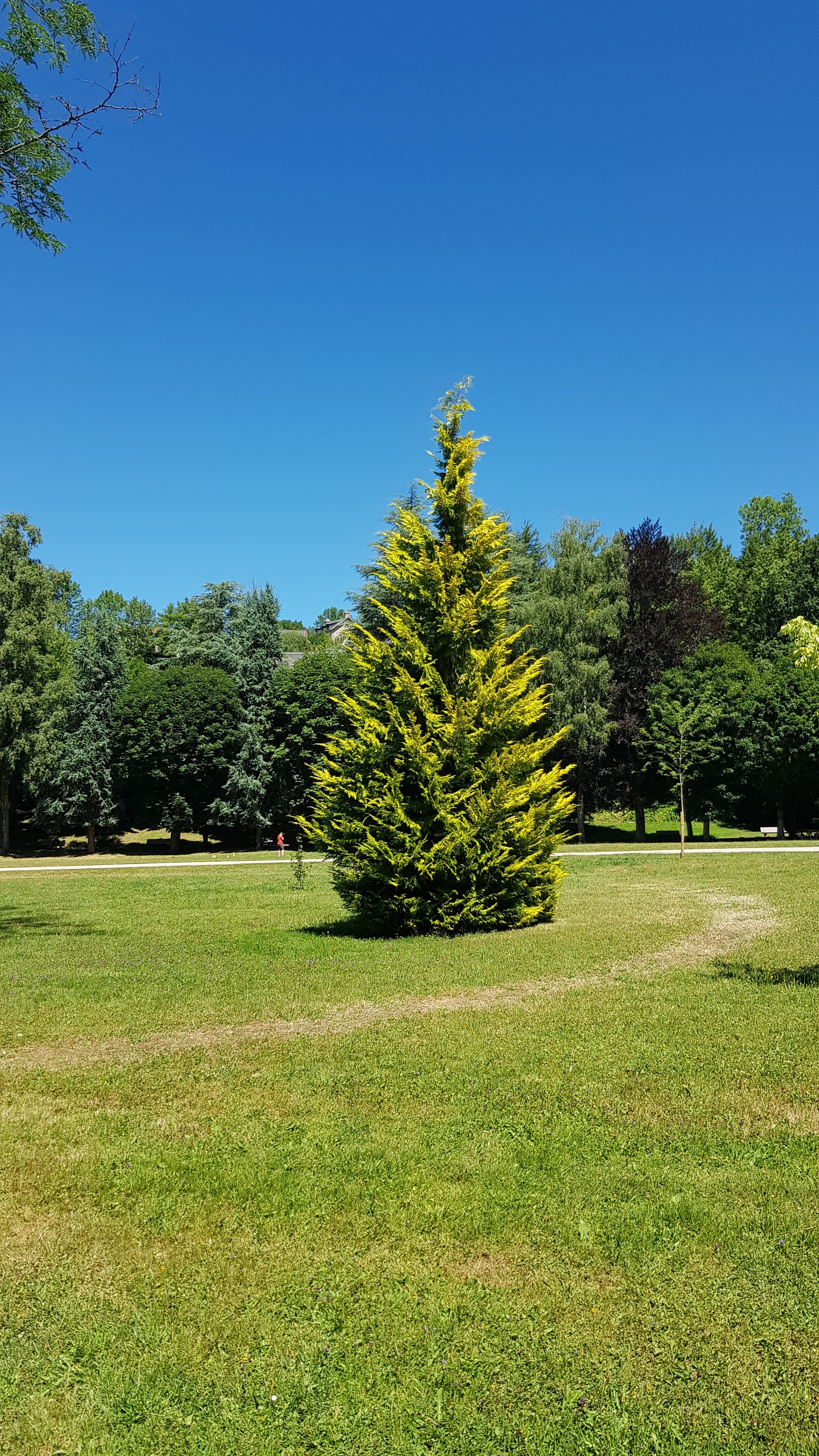 Photo n° 2 de l'avis de S.i fait le 04/08/2019 à 20:08