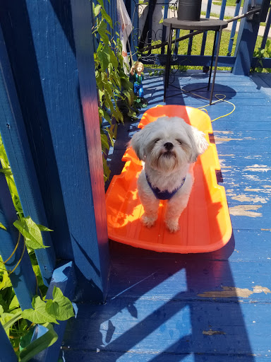 436 PA-106, Greenfield Township, PA 18407, USA