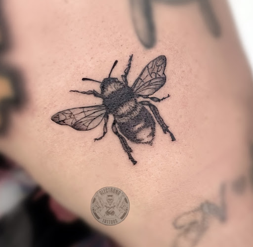 Explore tattoo ideas for behind ear, creative tattoo ideas in Long Beach, available at Inky Dreams Tattoo