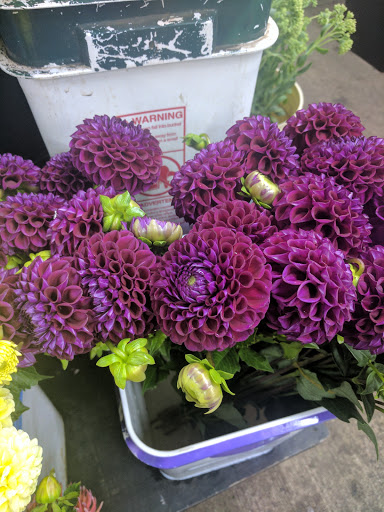 Florist «Portland Flower Market», reviews and photos, 3624 N Leverman St, Portland, OR 97217, USA