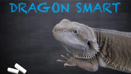 Dragon Smart