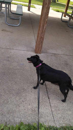 Park «Warwick Park», reviews and photos, Warwick Ave, Louisville, KY 40222, USA