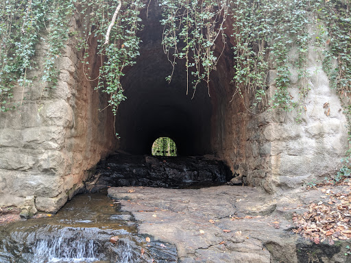 Explore mickey mouse tattoo ideas, creative tattoo ideas in Jacksonville, available at Banter by Piercing Pagoda