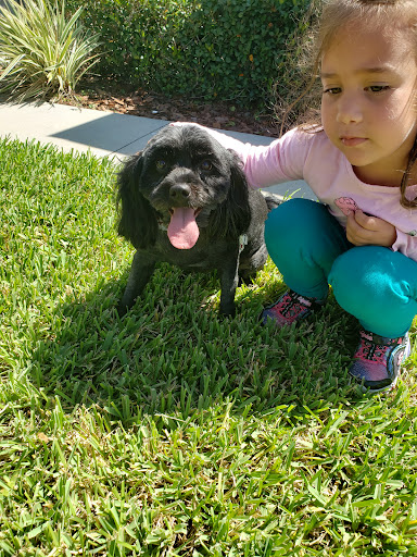 Pet Groomer «Le Pup Pet Supplies and Grooming», reviews and photos, 283 West Rd, Ocoee, FL 34761, USA