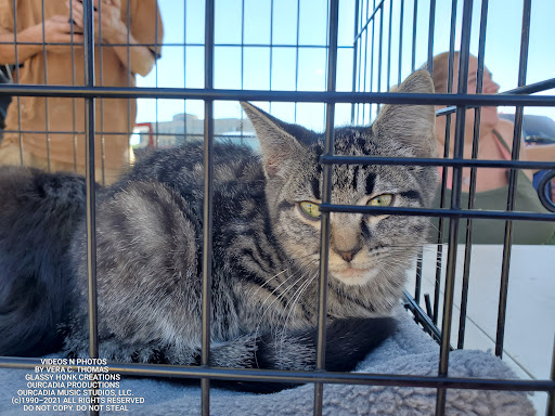 Home Improvement Store «Tractor Supply Co.», reviews and photos, 1611 Ulster Ave, Lake Katrine, NY 12449, USA