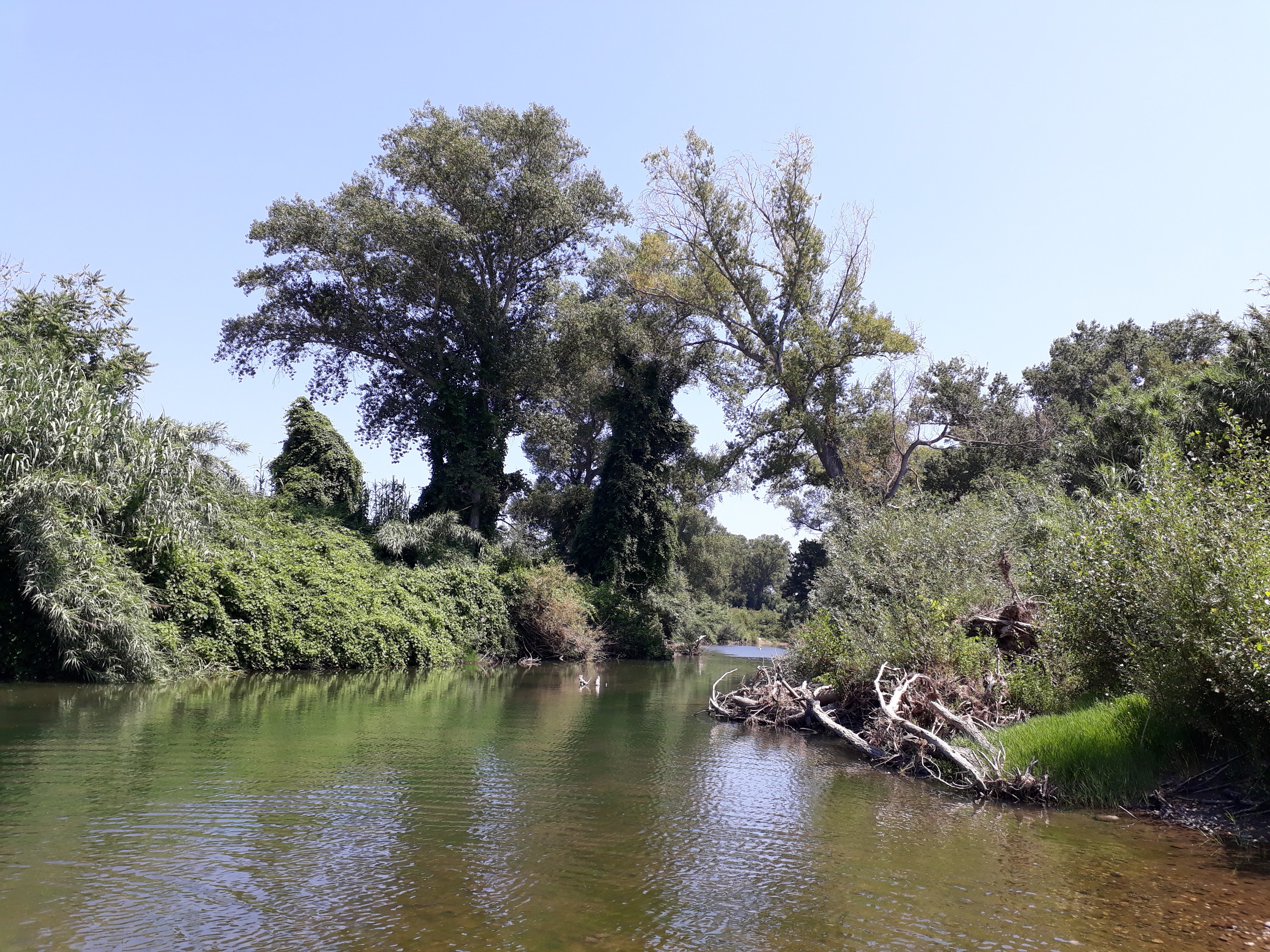 Photo n° 3 de l'avis de Giachem.n fait le 05/07/2019 à 07:04
