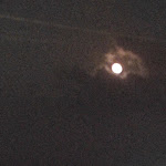 Photo n° 4 de l'avis de Fabio. fait le 24/08/2021 à 12:07 pour U PAGLIAGHJU à Chiatra