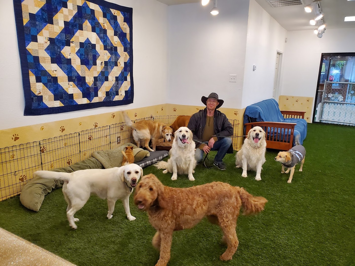 Good Dog Day Care & Social Club