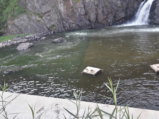 Public Golf Course «Mohansic Golf Course», reviews and photos, 1500 Baldwin Rd, Yorktown Heights, NY 10598, USA