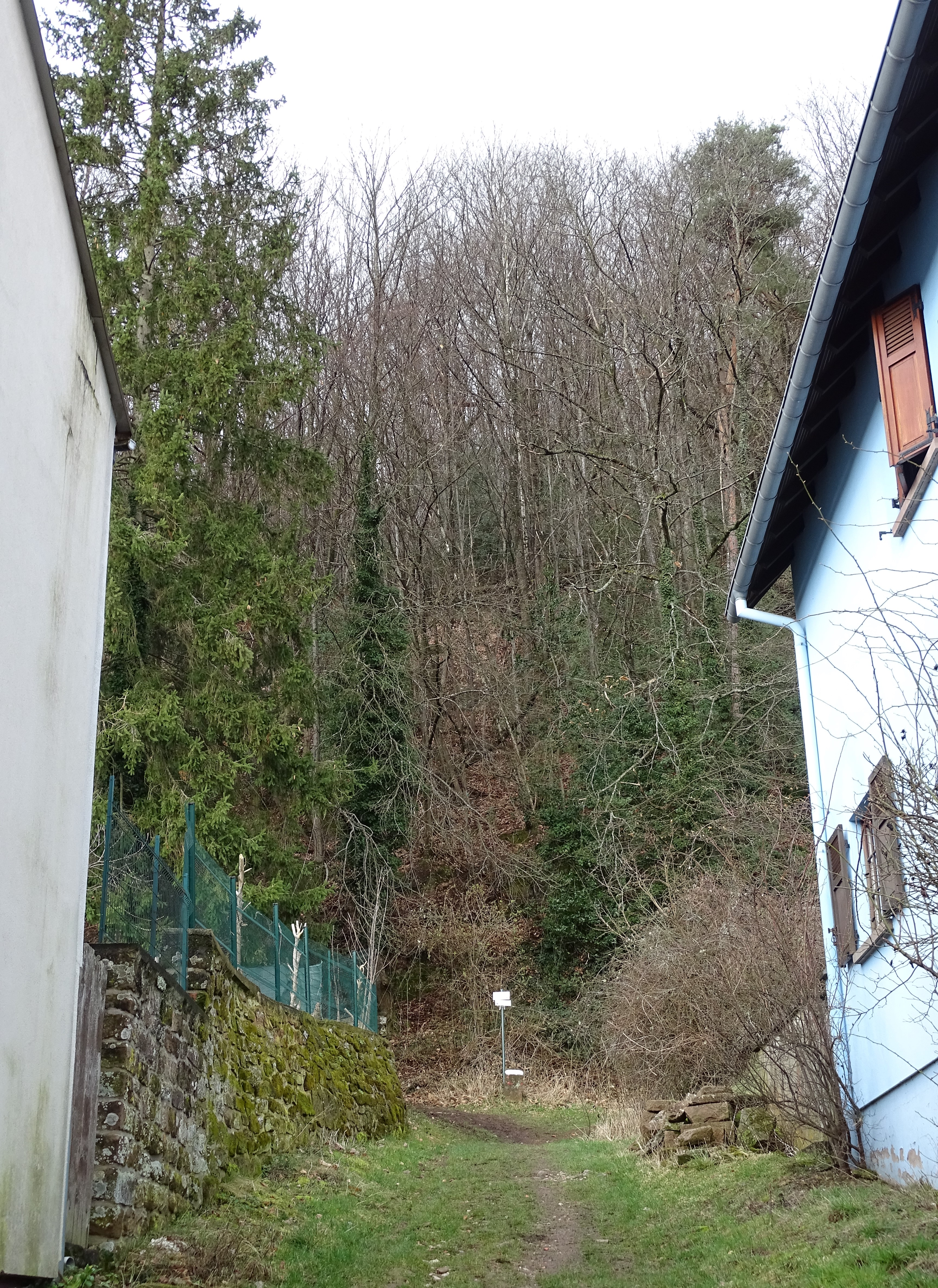 Photo n° 47 de l'avis de Aloyse.o fait le 15/02/2024 à 18:25