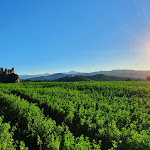 Photo n°1 de l'avis de Carlo.d fait le 06/10/2022 à 08:55 sur le  Agriturismo Casa Rastelli à Guiglia