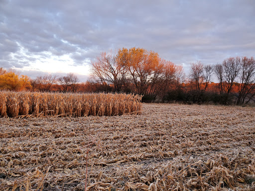 Real Estate Agency «Re/Max Advisors West», reviews and photos, 207 N Chestnut St, Chaska, MN 55318, USA