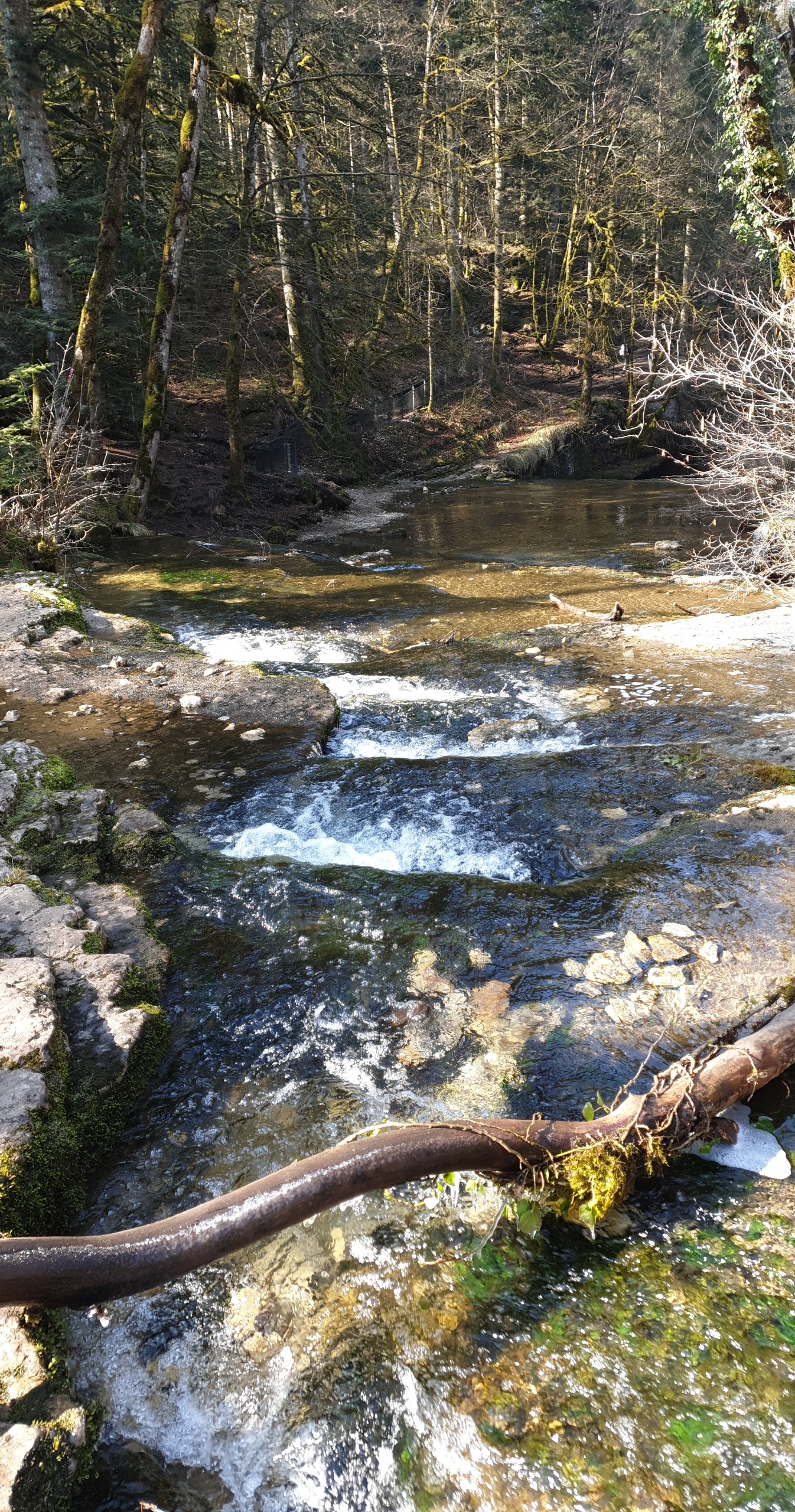 Photo n° 7 de l'avis de pirrera.o fait le 12/03/2021 à 07:17
