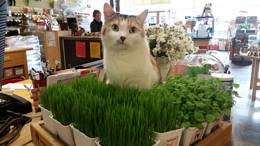 Pet Store «Next to Nature», reviews and photos, 4543 California Ave SW, Seattle, WA 98116, USA