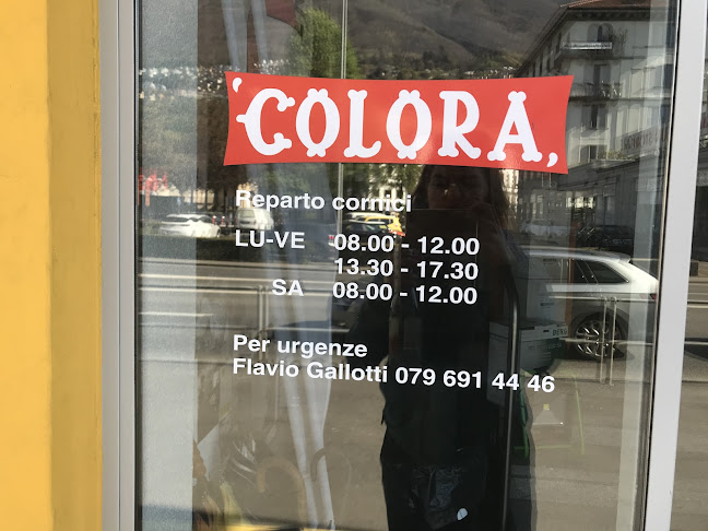 Rezensionen über Colora Locarno SA in Lugano - Farbenfachgeschäft