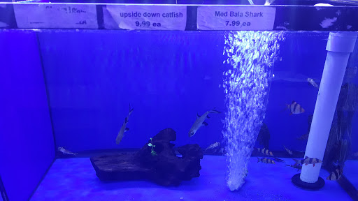 Pet Store «Pet World», reviews and photos, 891 Harriman Pl, San Bernardino, CA 92408, USA