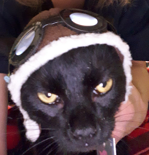 Pet Supply Store «All The Best Pet Care», reviews and photos, 1909 NW Market St, Seattle, WA 98107, USA