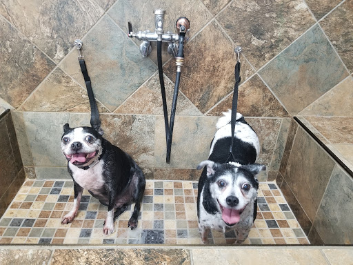 Pet Supply Store «Pet Valu», reviews and photos, 1305 West Seventh Street #28, Frederick, MD 21702, USA