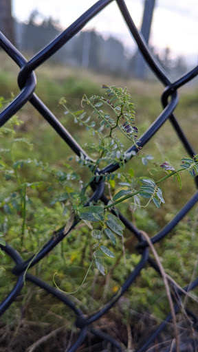 Park «Sacajawea Park», reviews and photos, 1401 S Dash Point Rd, Federal Way, WA 98003, USA