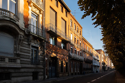 emji immobilier à Toulouse