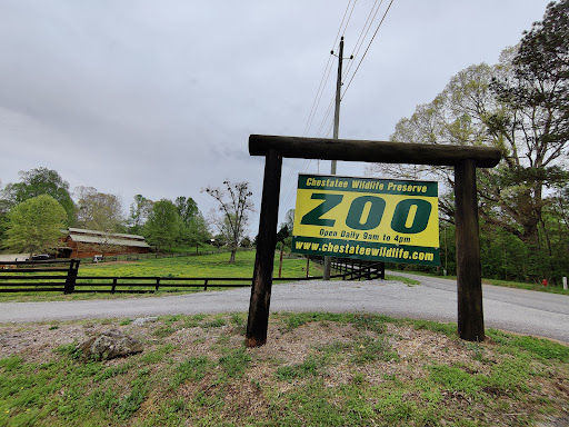 Zoo «Chestatee Wildlife Preserve & Zoo», reviews and photos, 469 Old Dahlonega Hwy, Dahlonega, GA 30533, USA