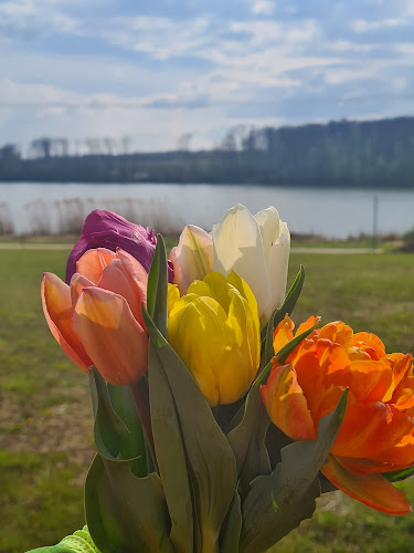 Vár-lak Levendulakert Deseda - Kertészkedő