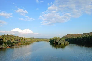 Arayakadavu Bridge, തേജസ്വിനി പുഴ image