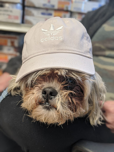 Greenbrier Animal Clinic image