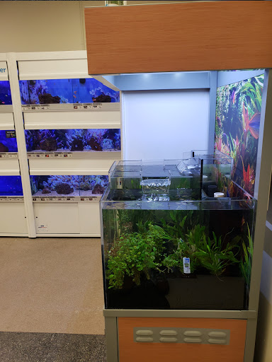 Pet Supply Store «Petco Animal Supplies», reviews and photos, 2255 East Ridge Road, Irondequoit, NY 14622, USA