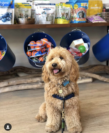 Pet Supply Store «Cole Valley Pets», reviews and photos, 910 Cole St, San Francisco, CA 94117, USA