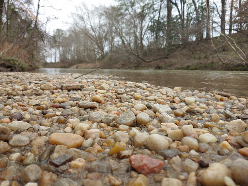 National Forest «Tuskegee National Forest», reviews and photos, 125 National Forest Rd 949, Tuskegee, AL 36083, USA
