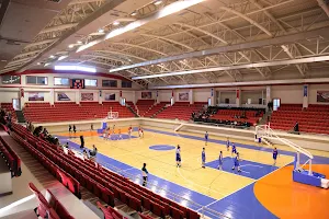 Mustafa Dağıstanlı Sports Hall İlkadım image
