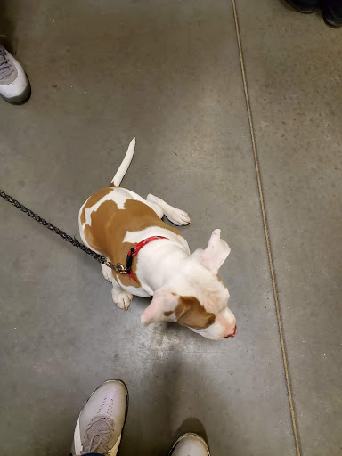 Pet Supply Store «Care-A-Lot Pet Supply Indian River», reviews and photos, 5457 Indian River Rd, Virginia Beach, VA 23464, USA