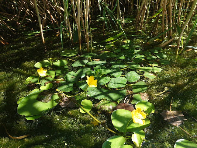 Poroszló, Üdülősor 12, 3388