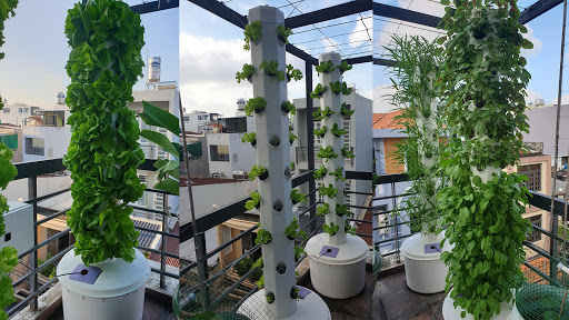 AUTOMINIGARDEN