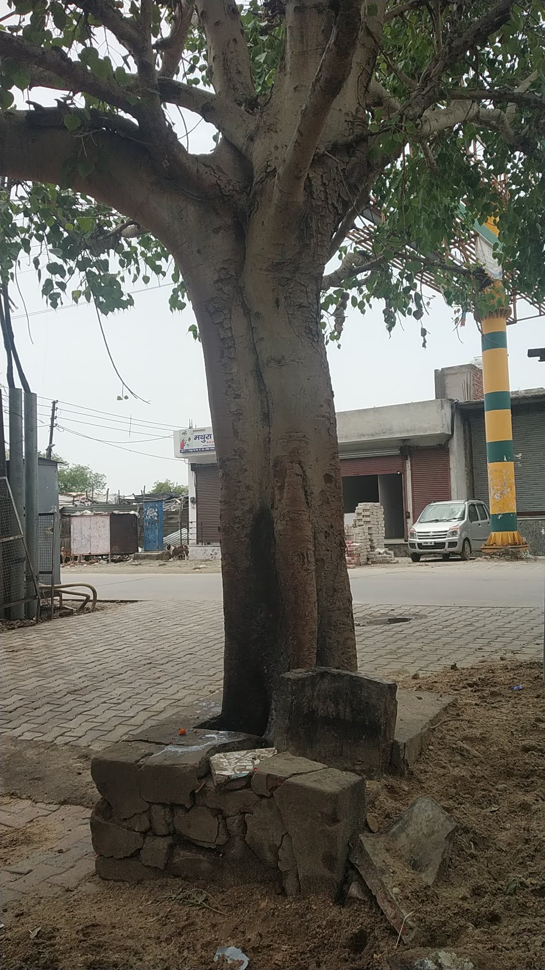 Pipal mandir