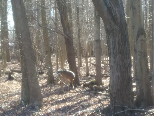 Park «Thomas A. Edison Park», reviews and photos, N Patrol Rd, Edison, NJ 08837, USA