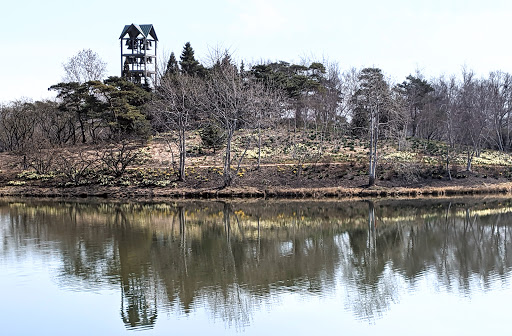 Botanical Garden «Chicago Botanic Garden», reviews and photos, 1000 Lake Cook Rd, Glencoe, IL 60022, USA