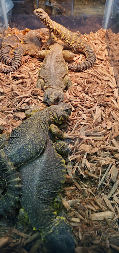 Event Venue «Rochester Main Street Armory», reviews and photos, 900 E Main St, Rochester, NY 14605, USA