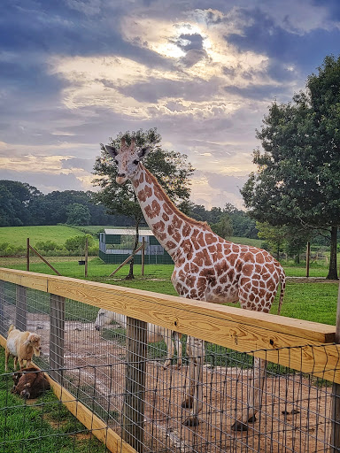 Tourist Attraction «Barn Hill Preserve», reviews and photos, 11370 LA-955, Ethel, LA 70730, USA