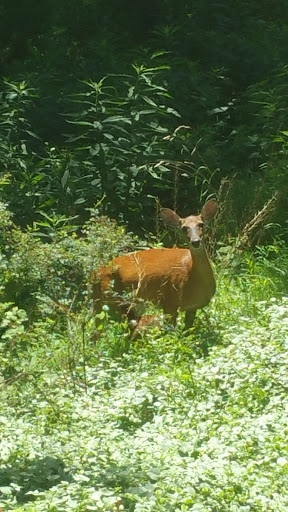 Golf Course «River Creek Club», reviews and photos, 43800 Olympic Blvd, Leesburg, VA 20176, USA