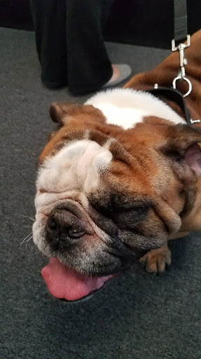 Tobacco Shop «Pitbull Tobacco & More», reviews and photos, 154 S Rosemont Rd, Virginia Beach, VA 23452, USA