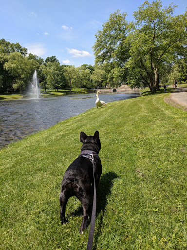 Park «Larz Anderson Park», reviews and photos, 325 Goddard Ave, Brookline, MA 02445, USA