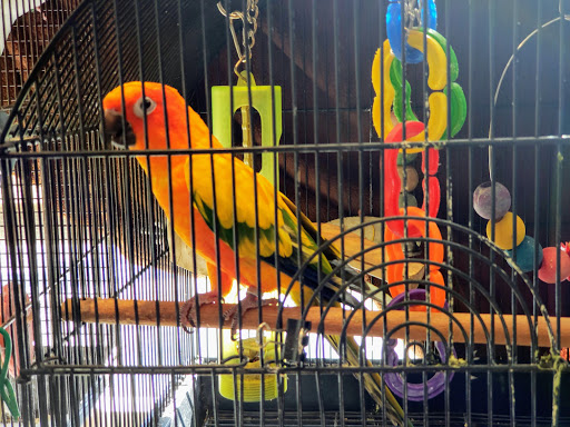 Pet Store «Pet Advantage», reviews and photos, 350 Dorset St # 1, South Burlington, VT 05403, USA