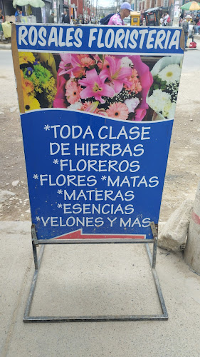 rosales floristería