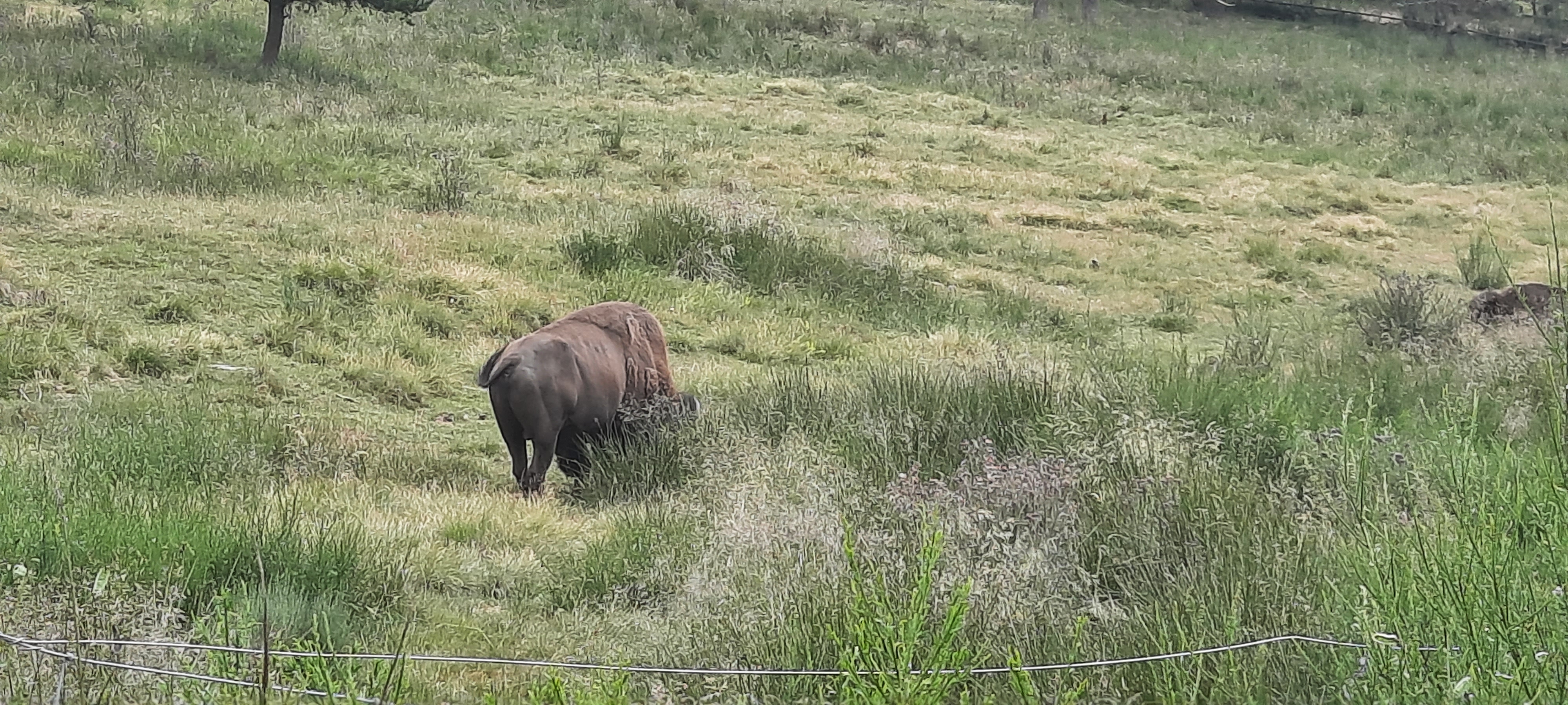 Photo n° 1 de l'avis de Alain.o fait le 03/07/2022 à 17:43