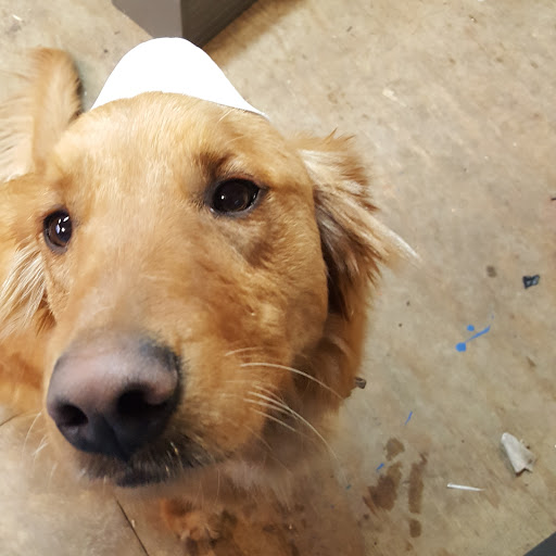 Tun-Dra Kennels & Outfitters