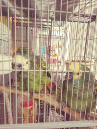 Pet Supply Store «El Granero Feed & Pet Supplies», reviews and photos, 2228 Church Ln, San Pablo, CA 94806, USA