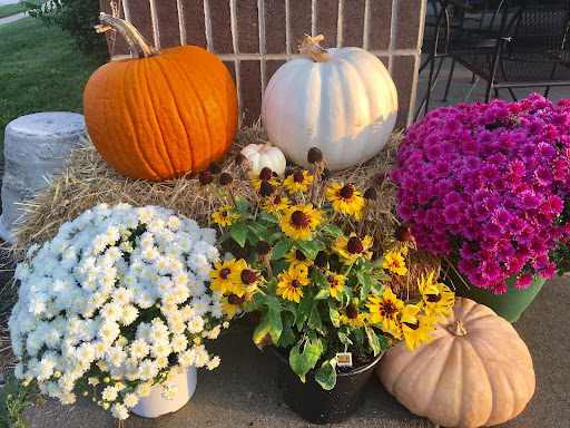 Coffee Shop «Travellers House Coffee and Tea», reviews and photos, 2151 W Republic Rd, Springfield, MO 65807, USA