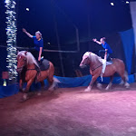 Photo n° 7 de l'avis de SORDET.d fait le 16/07/2020 à 19:11 pour Domaine du Bois du Loup à Saint-Agnan